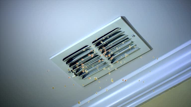 Best Duct Cleaning for Offices  in Paintsville, KY