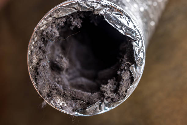 Best Affordable Air Duct Cleaning  in Paintsville, KY