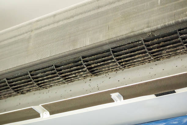 Best Air Duct Cleaning Near Me in KY